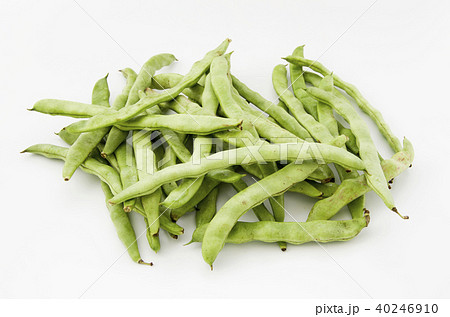 ヒラサヤインゲン ヒラサヤインゲン 40246910