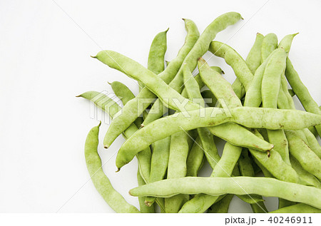 ヒラサヤインゲン 40246911