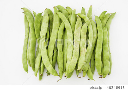 ヒラサヤインゲン 40246913