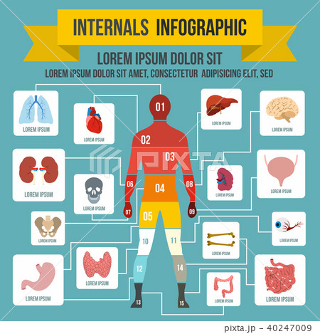 Internals infographic elements, flat style Internals infographic elements, flat style 40247009