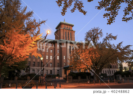 都市風景（神奈川県、日本大通り、秋） 40248862