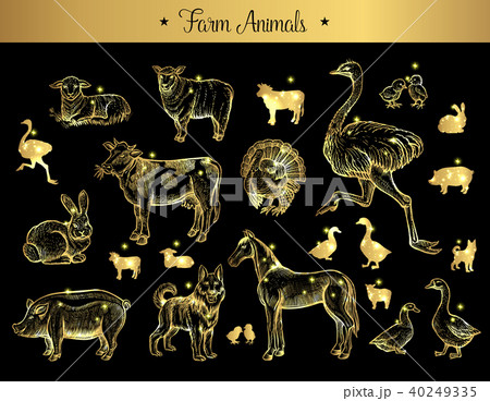 Set of isolated vintage sketches of farm animals Set of isolated vintage sketches of farm animals 40249335