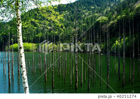 王滝村自然公園 王滝村自然公園 40251274