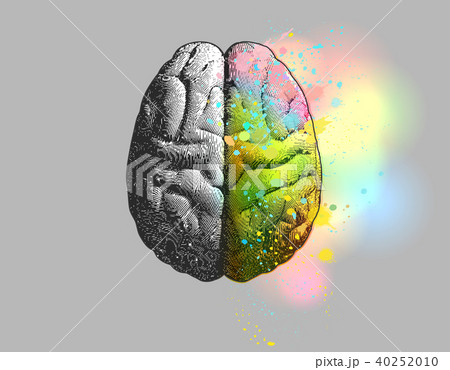 Right brain fuction present isolated on gray BG 40252010