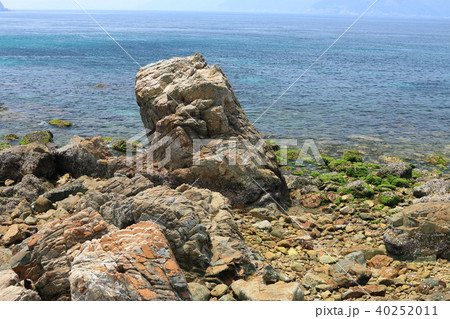 五島列島 前島の岩礁 40252011