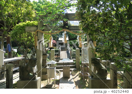 浦江聖天了徳院～弁才天～ 40252440