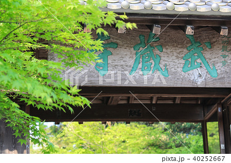 武蔵寺の藤 40252667