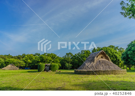 夏の加曽利貝塚の風景 夏の加曽利貝塚の風景 40252846
