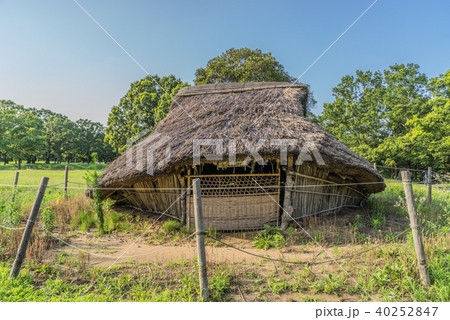 夏の加曽利貝塚の風景 夏の加曽利貝塚の風景 40252847