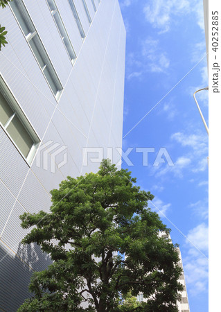 都市風景(東京都、浜松町、秋) 都市風景(東京都、浜松町、秋) 40252885