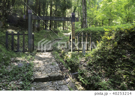 明智長山城大手門-03 40253214