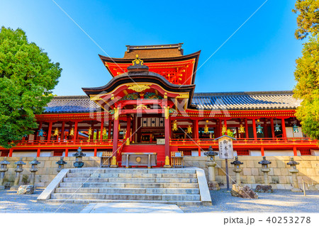 京都　石清水八幡宮　本殿 40253278