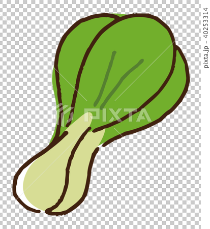 ちんげんさい ちんげんさい 40253314