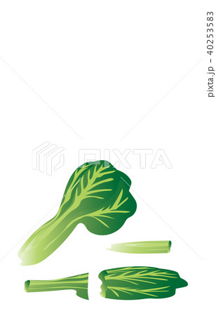 カット野菜こまつな カット野菜こまつな 40253583