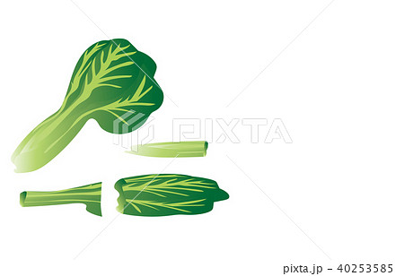 カット野菜こまつな 40253585
