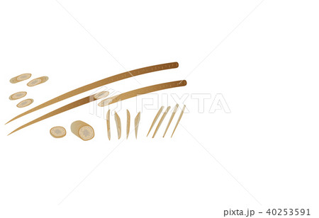 カット野菜ごぼう 40253591