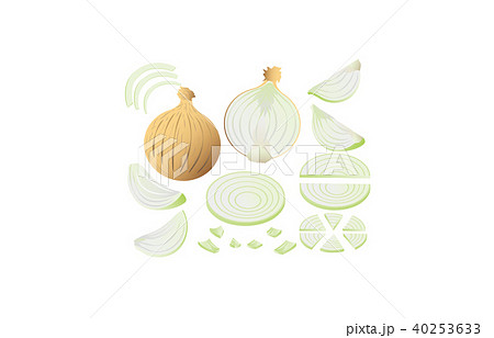 カット野菜たまねぎ 40253633