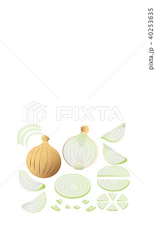 カット野菜たまねぎ 40253635