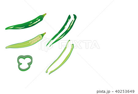 カット野菜とうがらし 40253649