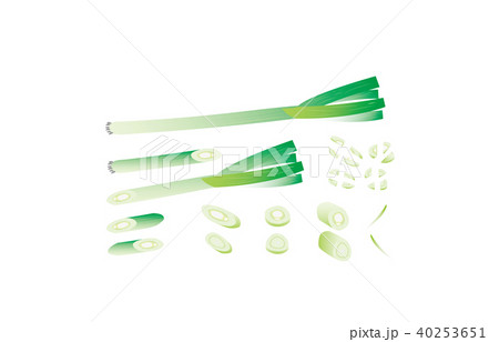 カット野菜ながねぎのイラスト素材