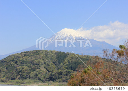 春の富士山ベスト 春の富士山ベスト 40253659
