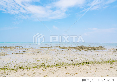 沖縄県 海イメージの写真素材