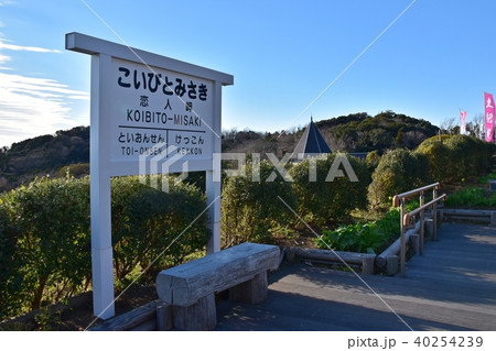 西伊豆　恋人岬 40254239