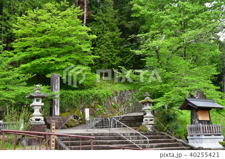 気多若宮神社 40255421