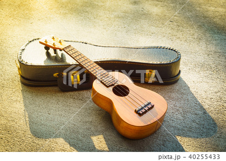 ウクレレ 40255433