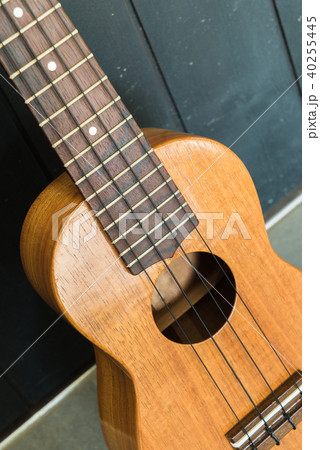 ウクレレ 40255445