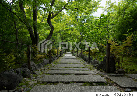 宝筐院の庭園 40255765