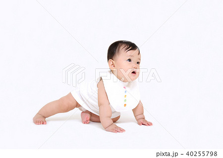 白背景でハイハイする女の子の赤ちゃん 40255798