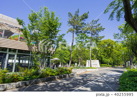 名古屋市北区都市風景 名城公園入口 トナリノ 名古屋市北区都市風景 名城公園入口 トナリノ 40255995