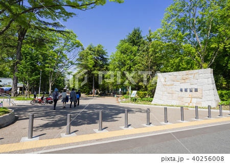 名古屋市北区 名城公園 大津通側入口 名古屋市北区 名城公園 大津通側入口 40256008