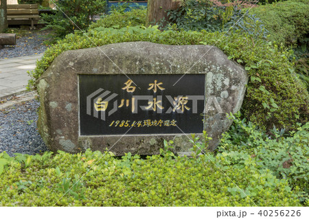 熊本の名水・白川水源 熊本の名水・白川水源 40256226