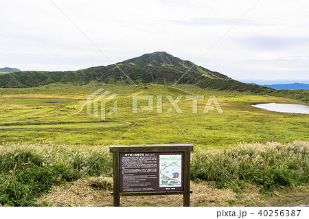 阿蘇高原の草千里浜 40256387