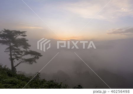 国見ケ丘の雲海 40256498