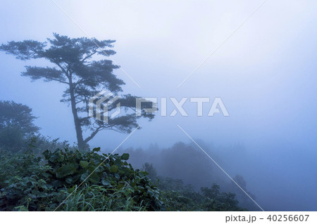 国見ケ丘の雲海 40256607