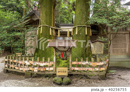 高千穂神社の境内 40256755