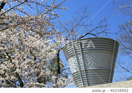 埼玉県戸田市の風景　戸田ボートコース聖火台　桜 40256992