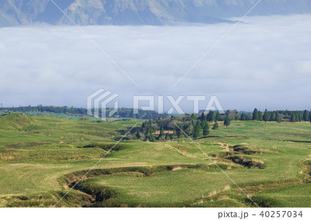 高原と雲海 高原と雲海 40257034