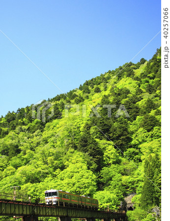 新緑の高山本線 新緑の高山本線 40257066