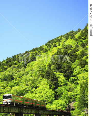 新緑の高山本線 40257070