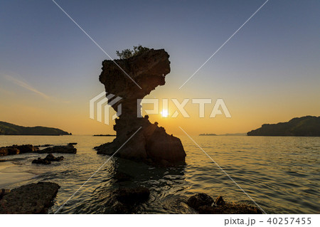 かきどまり海浜公園　傘岩 40257455