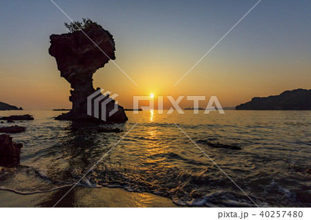 かきどまり海浜公園　傘岩 40257480