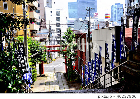 大綱金比羅神社境内から横浜駅方面 40257906