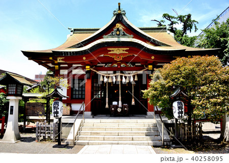 東神奈川熊野神社拝殿 東神奈川熊野神社拝殿 40258095