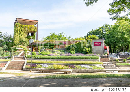 福岡市植物園 40258132