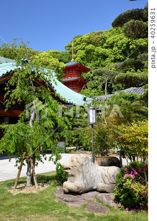 大本山 須磨寺 大本山 須磨寺 40259631