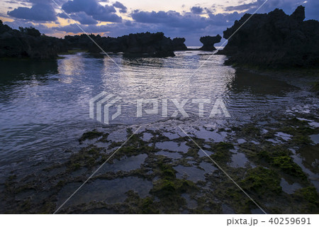 沖永良部島　ウジジ浜　奇岩　夜明け 40259691
